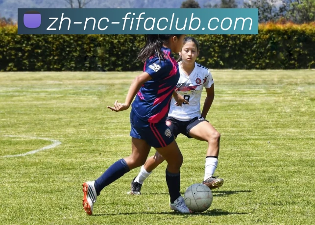 世界杯直播品牌故事