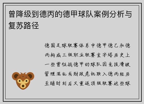 曾降级到德丙的德甲球队案例分析与复苏路径